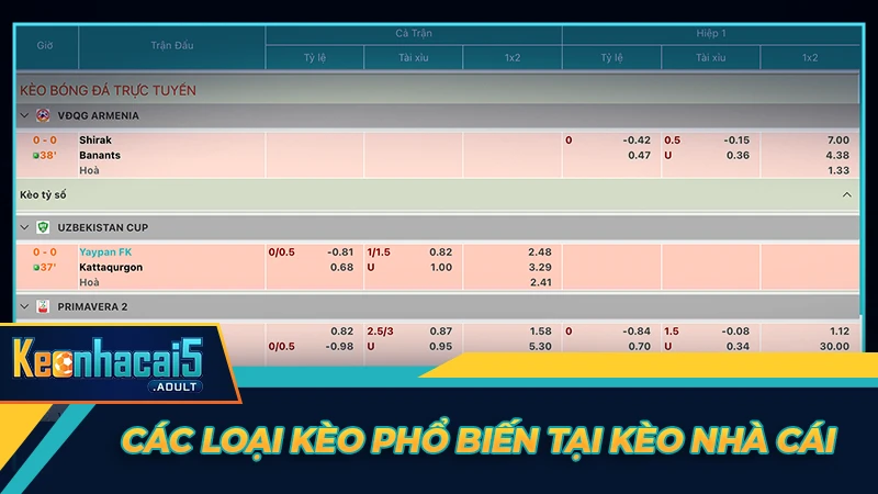 Các loại kèo phổ biến tại Kèo Nhà Cái Các loại kèo phổ biến tại Kèo Nhà Cái