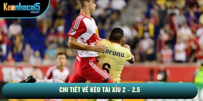 Chi tiết về kèo tài xỉu 2 – 2.5 Chi tiết về kèo tài xỉu 2 – 2.5