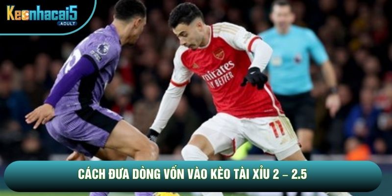 Cách đưa dòng vốn vào kèo tài xỉu 2 – 2.5 Cách đưa dòng vốn vào kèo tài xỉu 2 – 2.5