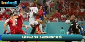 Kèo Tài Xỉu: Đọc Vị Tổng Số Bàn Thắng Toàn Trận Cho Người Mới