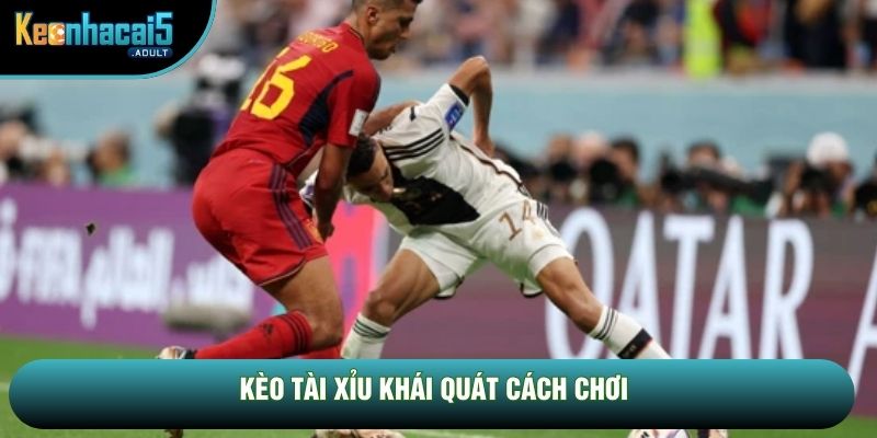 Kèo tài xỉu khái quát cách chơi Kèo tài xỉu khái quát cách chơi