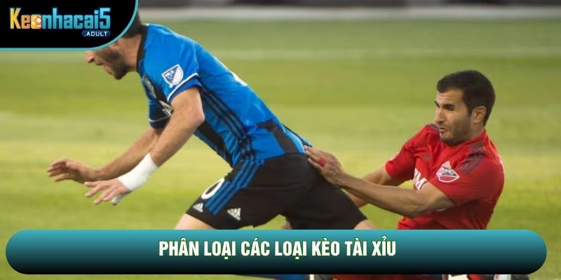 Phân loại các loại kèo tài xỉu Phân loại các loại kèo tài xỉu