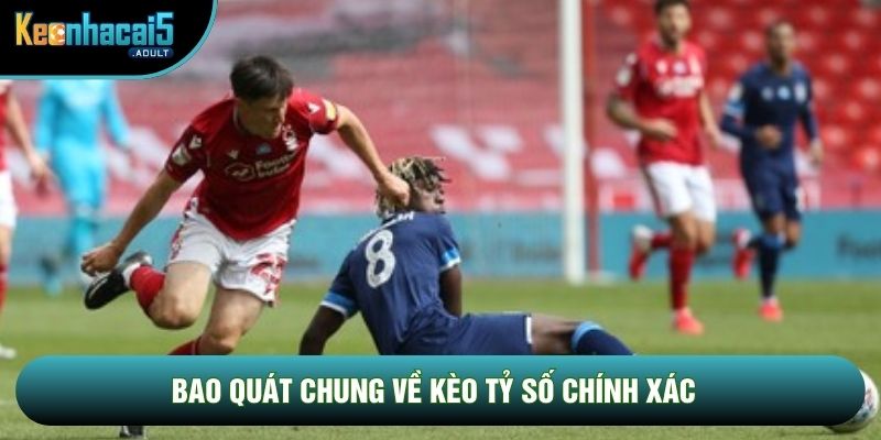 bao quát chung về kèo tỷ số chính xác