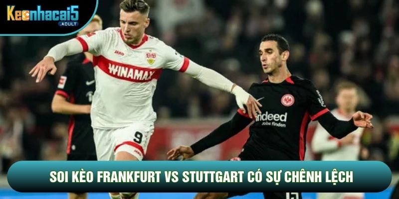 Soi kèo Frankfurt vs Stuttgart có sự chênh lệch Soi kèo Frankfurt vs Stuttgart có sự chênh lệch