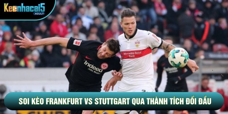 Soi kèo Frankfurt vs Stuttgart qua thành tích đối đầu Soi kèo Frankfurt vs Stuttgart qua thành tích đối đầu