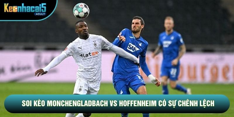 Soi kèo Monchengladbach vs Hoffenheim có sự chênh lệch Soi kèo Monchengladbach vs Hoffenheim có sự chênh lệch