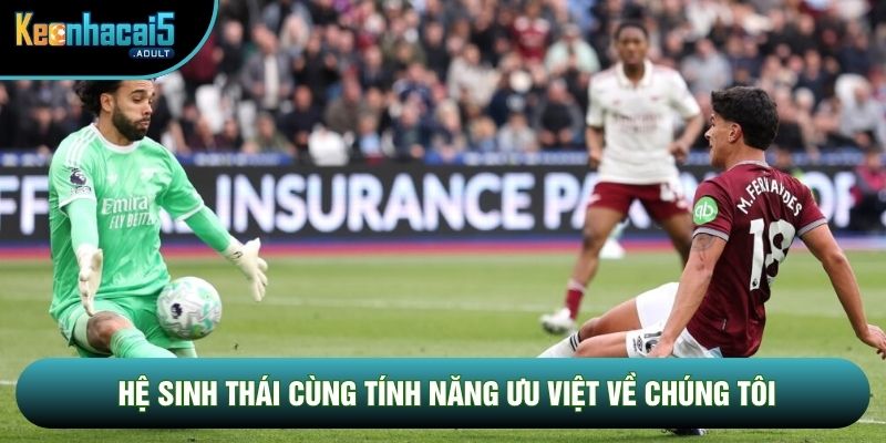Hệ sinh thái cùng tính năng ưu việt về chúng tôi